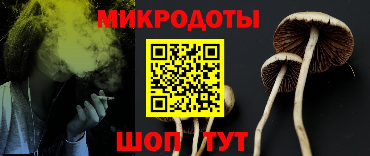 Галлюциногенные грибы Cubensis  Псилоцибиновые грибы MAGIC MUSHROOMS  Берёзовский 